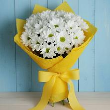 Букет цветов из:  Хризантемы в Волховце 