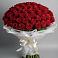Букет 101 Красная роза Блэк Мэджик в Волховце 