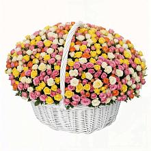 Премиум букет из: Розы в Волховце 