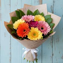 Букет цветов из:  Герберы #REPLACE_PRED# Волховце 