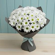 Букет цветов из:  Хризантемы в Волховце 