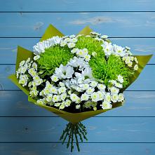 Букет цветов из:  Хризантемы #REPLACE_PRED# Волховце 