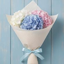 Букет цветов из:  Гортензия в Волховце 