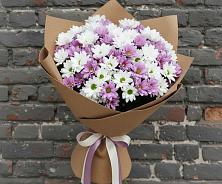 Букет цветов из:  Хризантемы в Волховце 