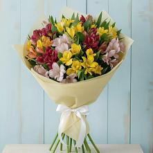 Букет цветов из:  Альстромерии #REPLACE_PRED# Волховце 
