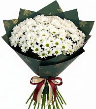 Букет цветов из:  Хризантемы в Волховце 