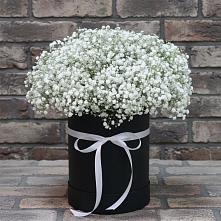 Цветочная композиция из Гипсофила в шляпной коробке в Волховце 