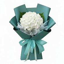 Букет цветов из:  Гортензия в Волховце 
